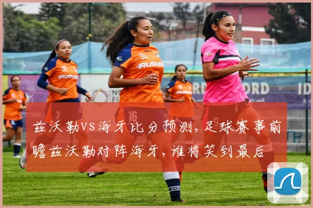 兹沃勒vs海牙比分预测,足球赛事前瞻兹沃勒对阵海牙,谁将笑到最后