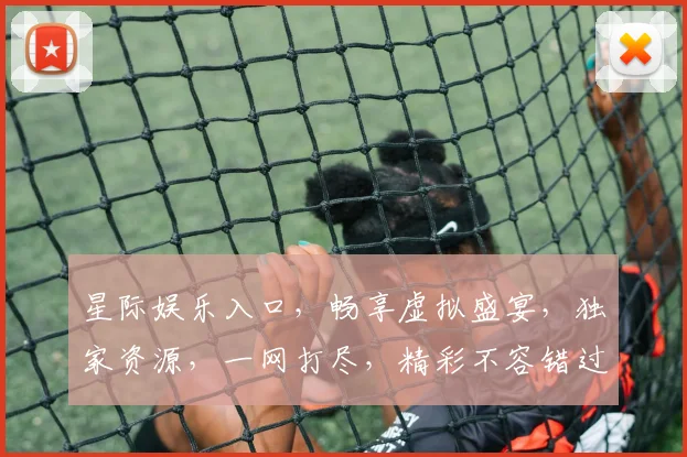 星际娱乐入口，畅享虚拟盛宴，独家资源，一网打尽，精彩不容错过，快来体验